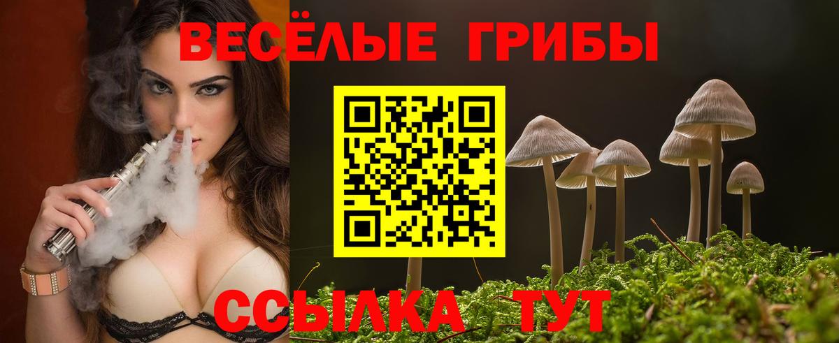 Гусиноозёрск  Псилоцибиновые грибы GOLDEN TEACHER  Вход с VPN  Псилоцибиновые грибы Psilocybine cubensis 